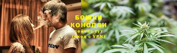ПСИЛОЦИБИНОВЫЕ ГРИБЫ Алексеевка