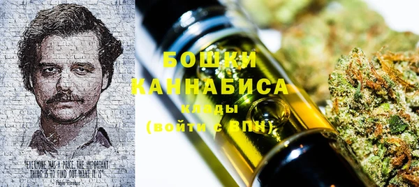 ПСИЛОЦИБИНОВЫЕ ГРИБЫ Алексеевка