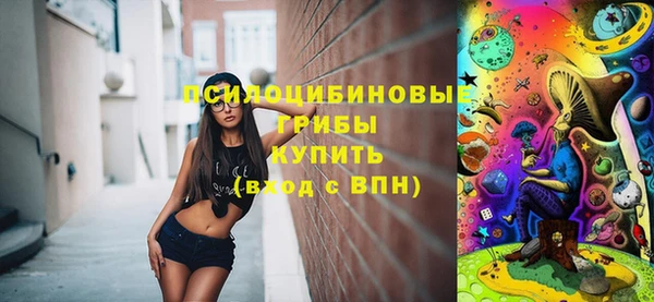 ПСИЛОЦИБИНОВЫЕ ГРИБЫ Алексеевка