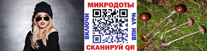 Псилоцибиновые грибы GOLDEN TEACHER Андреаполь