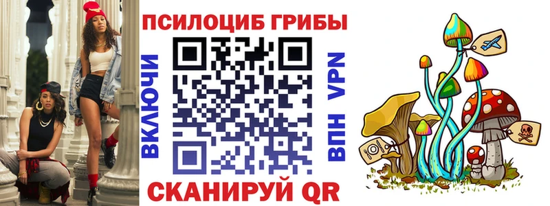 Псилоцибиновые грибы прущие грибы  купить закладку  Андреаполь 